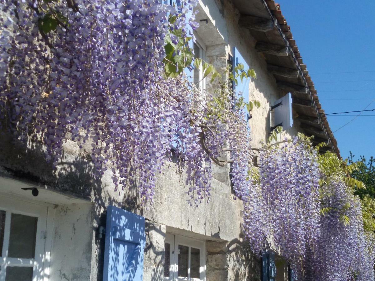 Genouille  Chat Noir Gite Et Chambre D'Hotes B&B 외부 사진